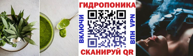 ссылка на мегу маркетплейс  Чебаркуль  Canna-Cookies марихуана 