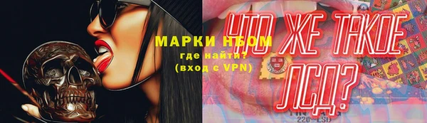 стафф Дмитриев