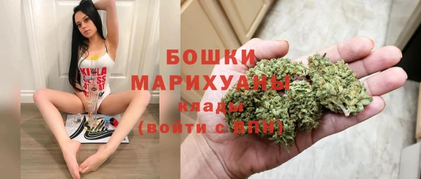 стафф Дмитриев