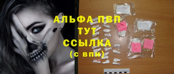 стафф Дмитриев