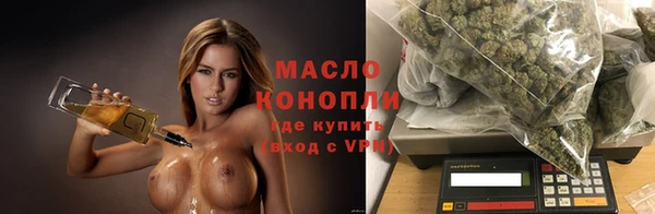 СК Дмитров