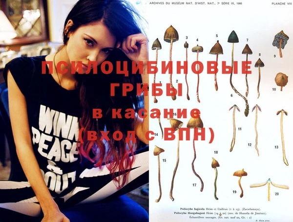 не бодяженный Елизово