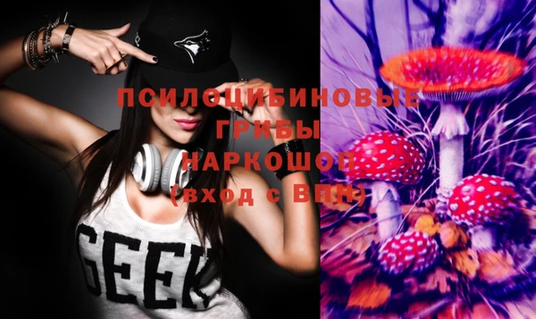 эйфоретик Ельня