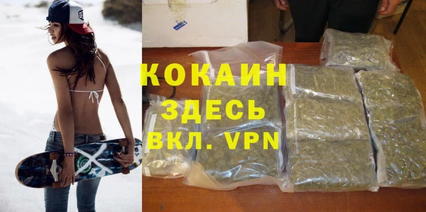 стафф Дмитриев