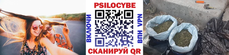 купить наркоту Чебаркуль Галлюциногенные грибы Cubensis